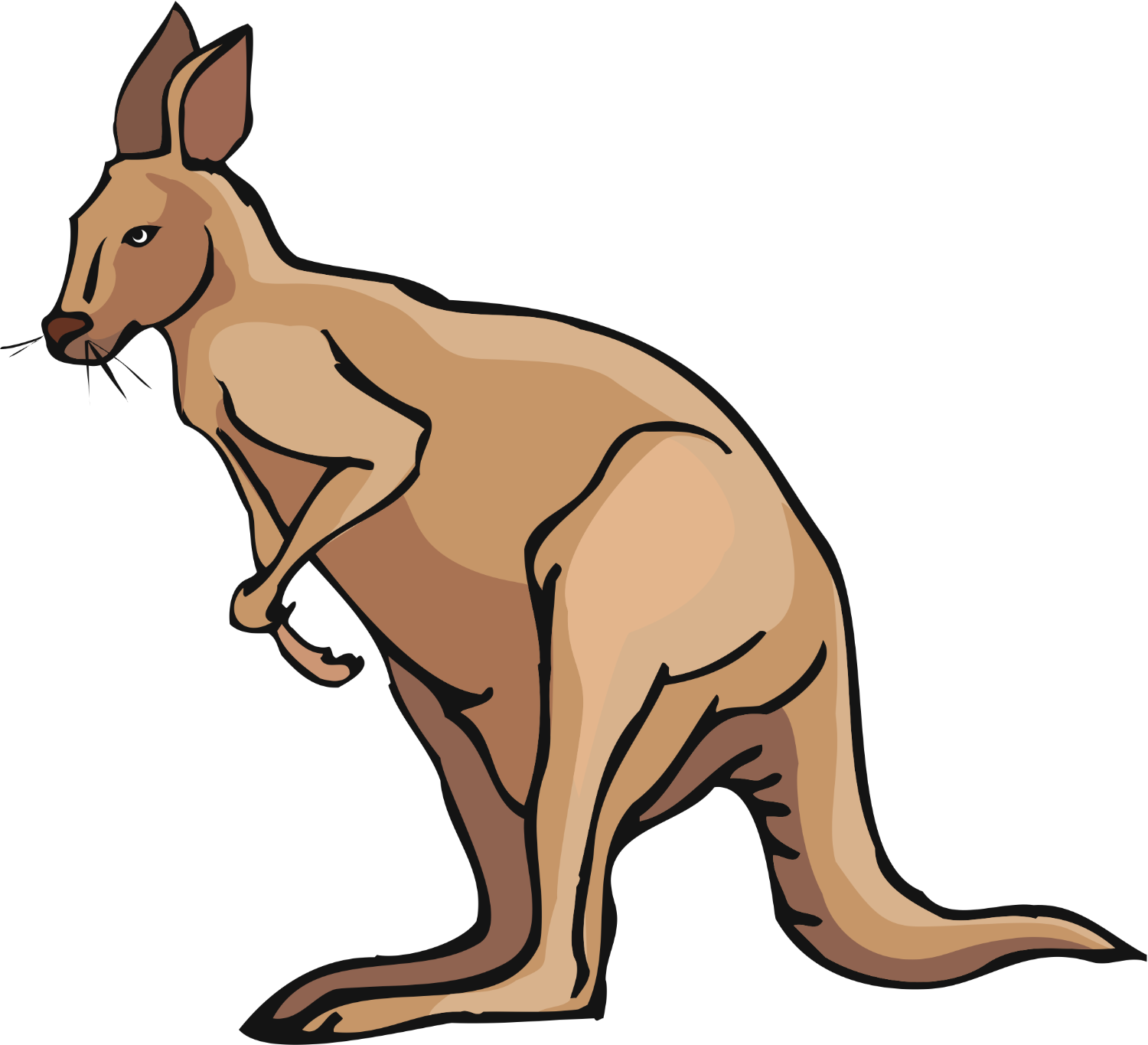 kangaroo.png title=