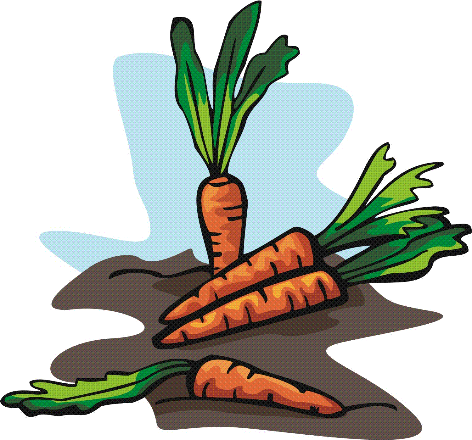 carrots1.gif